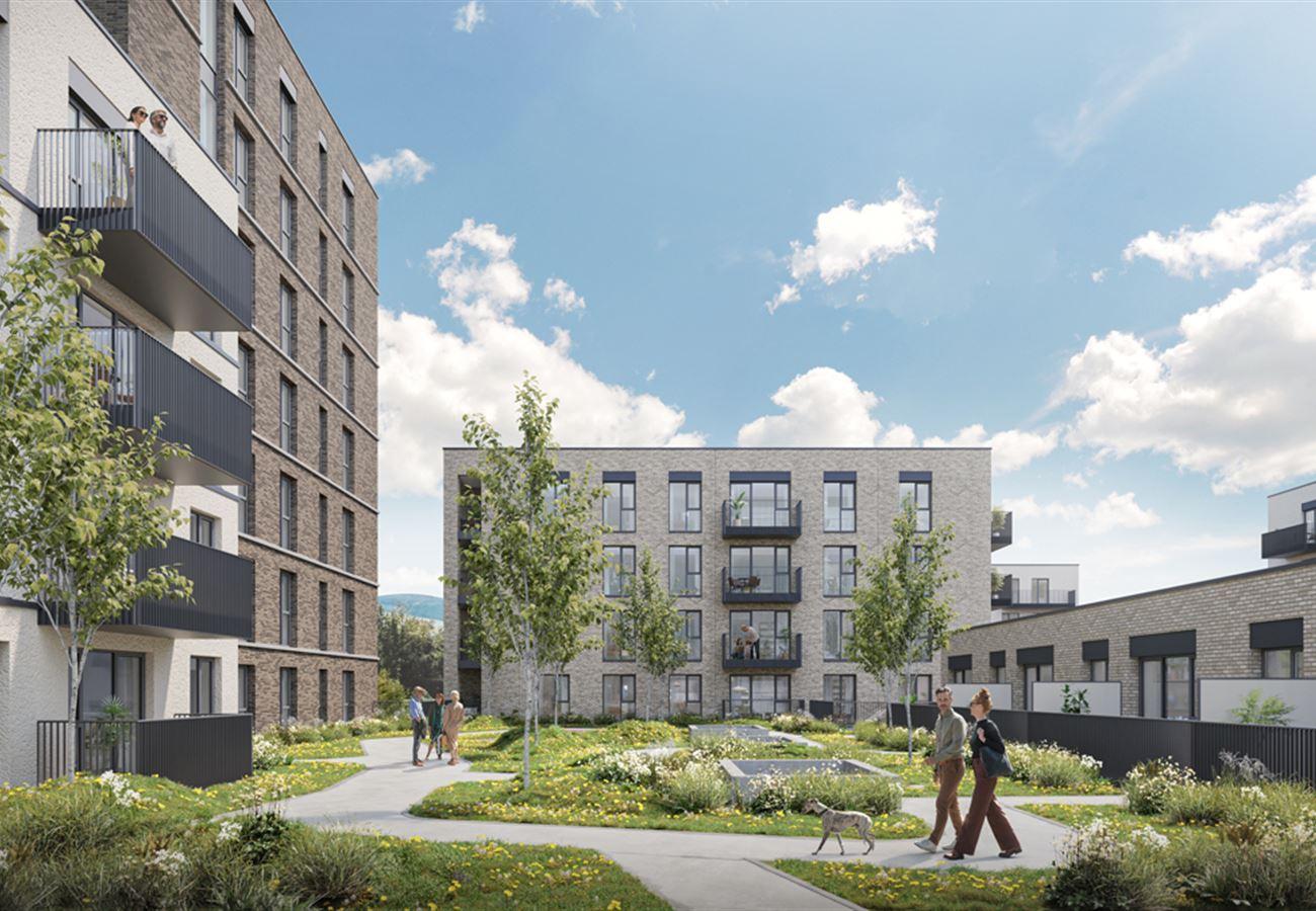 Laois Scaffolding Project_Woodbrook_Urban_plans