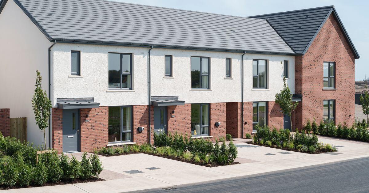 Laois Scaffolding_Hampton Hill_Cairn Homes Project external